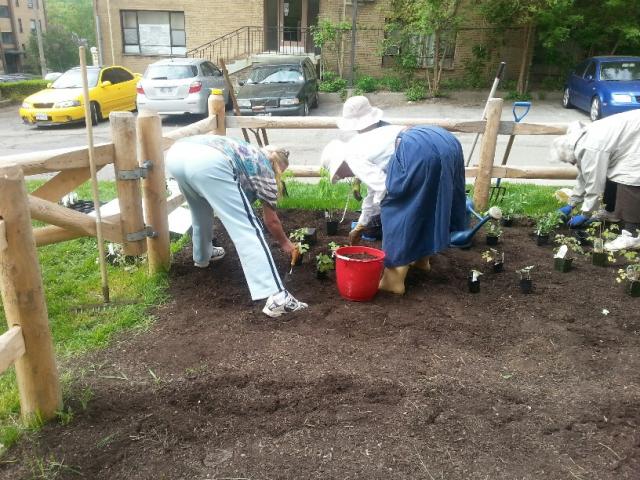 20150516_104111_resized_1.jpg